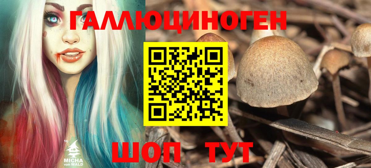 Галлюциногенные грибы мухоморы  Вход с VPN  Галлюциногенные грибы MAGIC MUSHROOMS  Кинель 