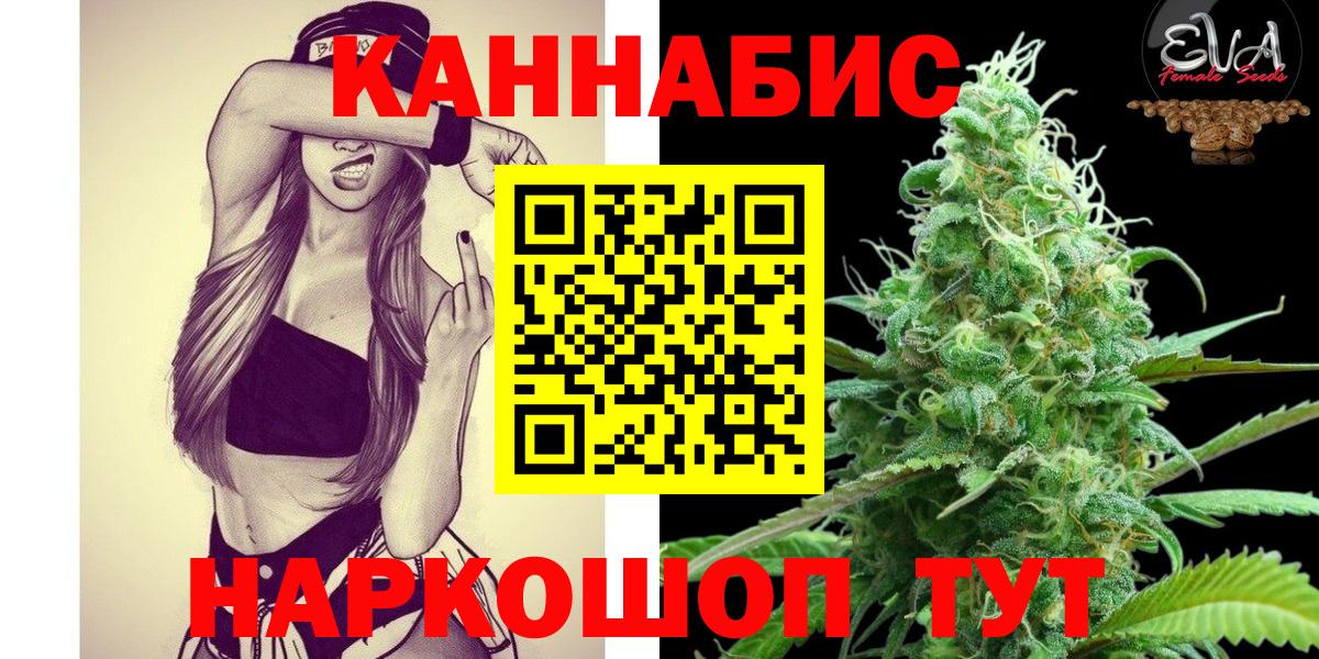 Кинель  Конопля план  Канабис индика  Вход с VPN 